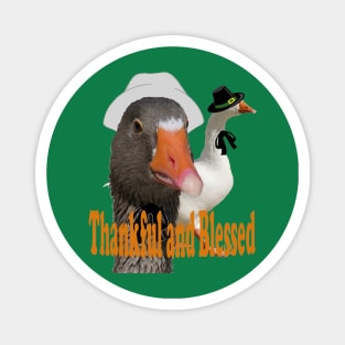 Thankful and Blessed Thanksgiving Pilgrim Ducks In Costume Magnet